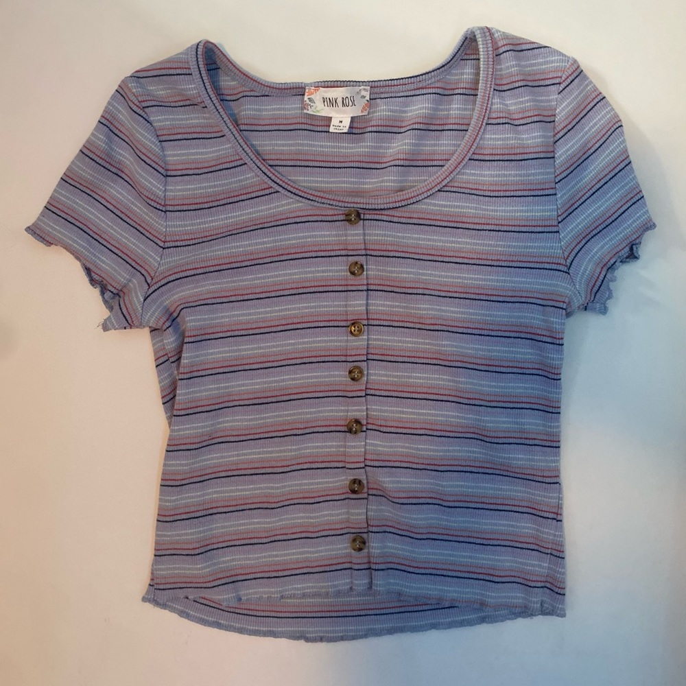 Pink Rose Blue Colorful Striped Crop Top